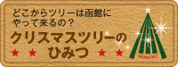 どこからツリーは函館にやって来るの？クリスマスツリーのひみつ