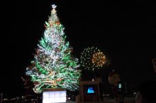 Hakodate Christmas Fantasy 2012 12/1~12/25
