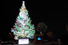 Hakodate Christmas Fantasy 2012 12/1~12/25
