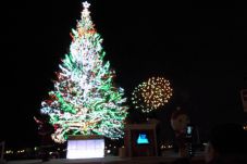 Hakodate Christmas Fantasy 2012 12/1~12/25
