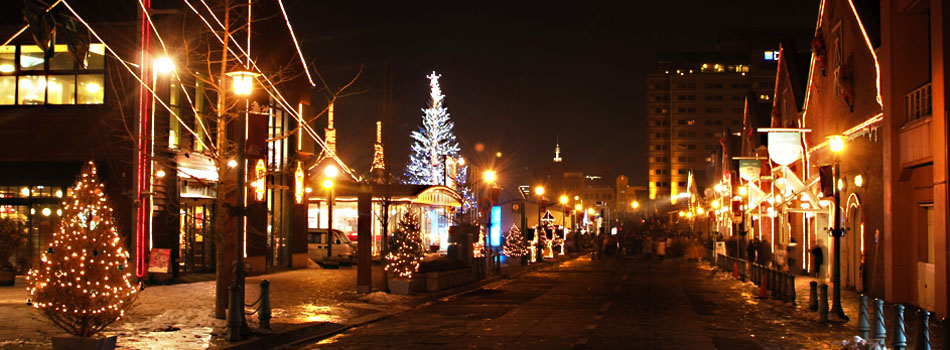 Hakodate Christmas Fantasy 2012 12/1~12/25
