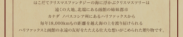 はこだてクリスマスファンタジーの海に浮かぶクリスマスツリーは遠くの大地、北端にある函館の姉妹都市
					カナダ　ノバスコシア州にあるハリファックスから毎年18,000kmの距離を越え海の上を渡り届けられるハリファックスと函館の永遠の有効をたたえる壮大な想いがこめられた贈り物です。